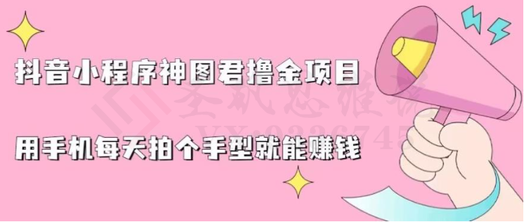 抖音小程序神图君撸金项目，用手机每天拍个手型挂载一下小程序就能赚钱【揭秘】-圣矾创业博客