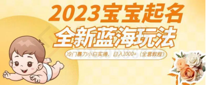 2023宝宝起名全新蓝海玩法，冷门暴力小白实操，日入1000+（全套教程）【揭秘】-圣矾创业博客