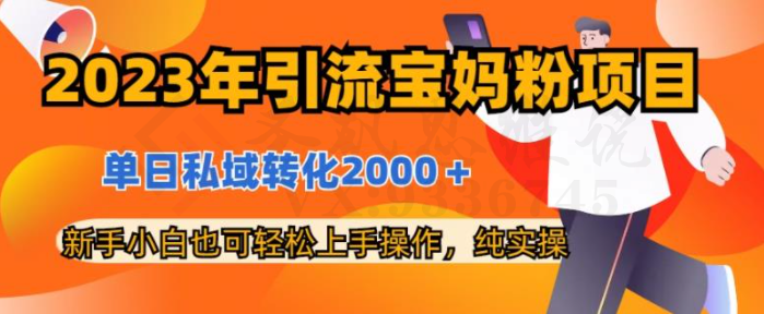 2023年引流宝妈粉项目，单日私域转化2000＋，新手小白也可轻松上手操作，纯实操-圣矾创业博客