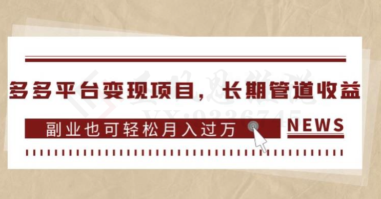 多多平台变现项目，长期管道收益，副业也可轻松月入过万-圣矾创业博客