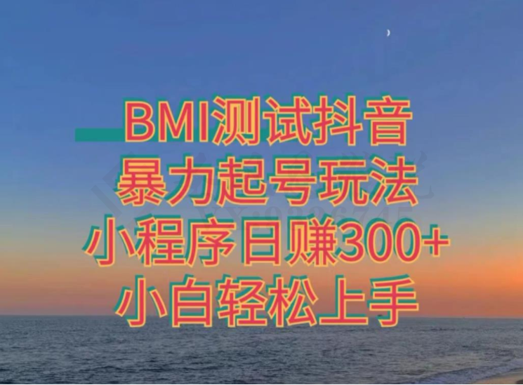 神图抖音小程序项目4.0版引流，日入300+暴力玩法小白轻松上手-圣矾创业博客