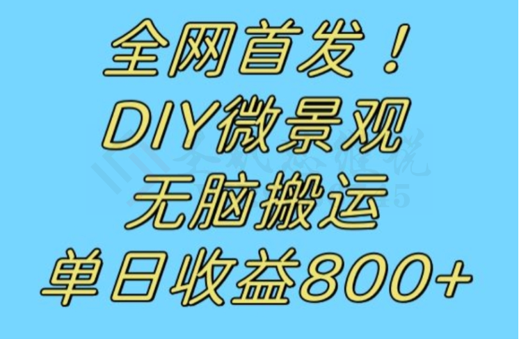 全网首发冷门赛道！DIY微景观，无脑搬运视频，日收益800+【揭秘】-圣矾创业博客