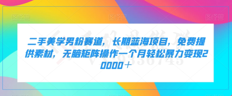 二手美学男粉赛道，长期蓝海项目，无脑矩阵操作一个月轻松暴力变现20000＋-圣矾创业博客