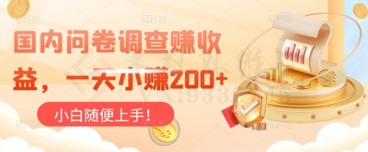 国内问卷调查赚收益，一天小赚200+，小白随便上手-圣矾创业博客