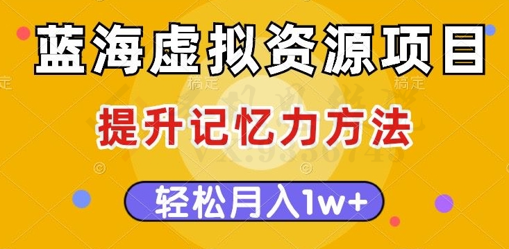 蓝海虚拟资源项目，提升记忆力方法，多种变现方式，轻松月入1w+【揭秘】-圣矾创业博客